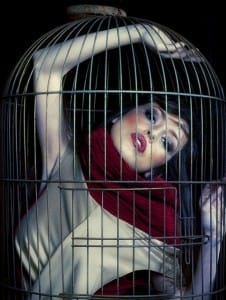 Choke Me, Spit On Me, I'm a Feminist, female body in a cage