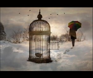 Inertia: an open cage