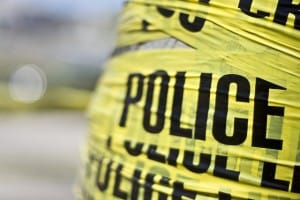 Sex offenders and the criminal justice system