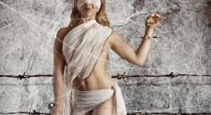 Sex offenders and the criminal justice system