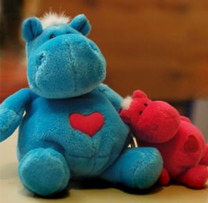 Photo credit: Giang Hồ Thị Hoàng, flickr