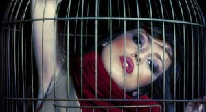 Feminism and BDSM, caged body