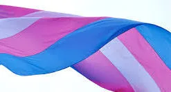 My boyfriend has transgender friends – does he want to be with one again?